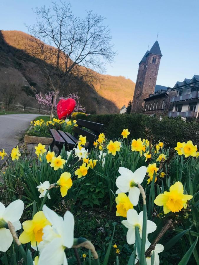 Residenz Moselzauber - Mit Pool Landschaft Apartment *